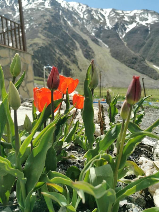 Hotel Diamond Kazbegi Dış mekan fotoğraf