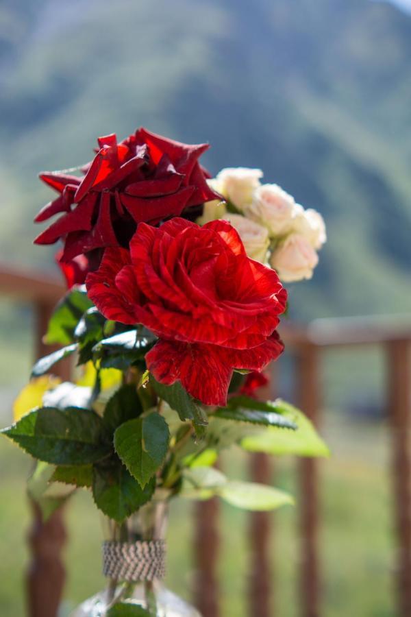Hotel Diamond Kazbegi Dış mekan fotoğraf